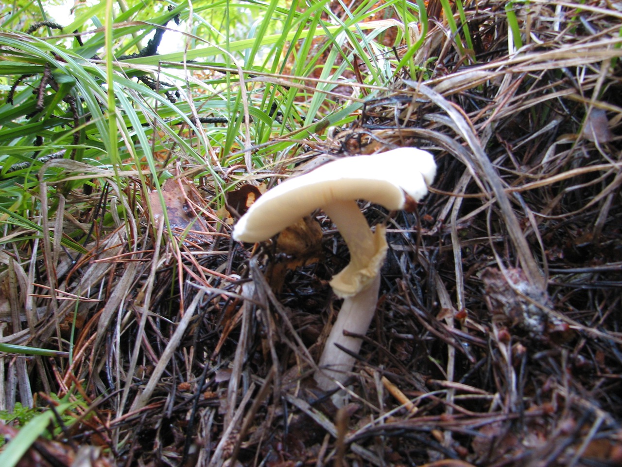 2011 09 04 Sortie Myco Croix Pater 18